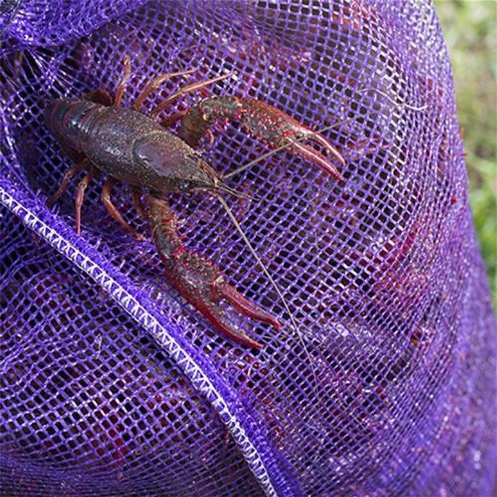 Discover How Much Is A Sack Of Crawfish: A Complete Guide