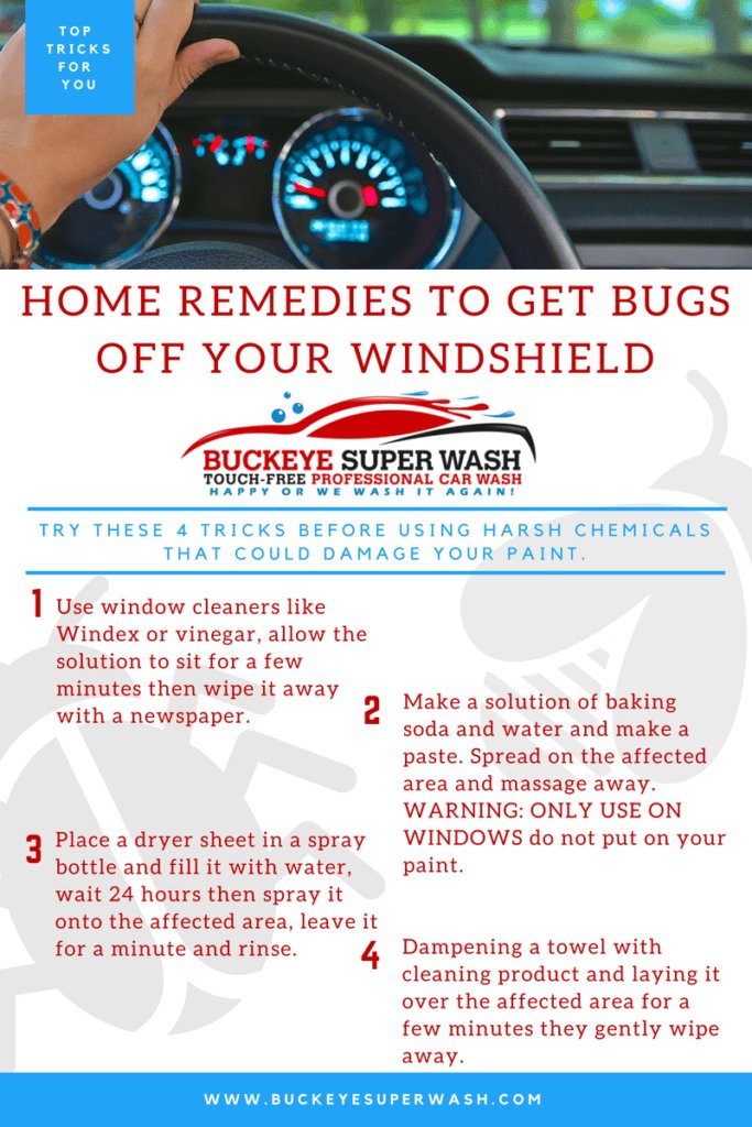 Effective Home Remedies For Removing Bugs Off Car: How To Get Bugs Off Car Home Remedy